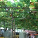 만해가든 이미지