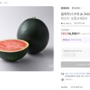 위너파트너스 이미지
