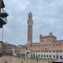 팔리오 디 시에나 Palio di Siena