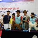 바닐라 애견샵 이미지