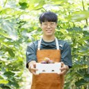 동호리 농장 이미지