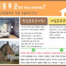 수원-0788 이미지