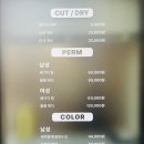 187 | 대구 중구 미용실 오렐리헤어 레이어드컷 후기
