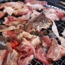 도시고기