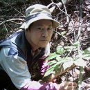 토요일, 일요일 이미지