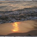 마차진해수욕장 이미지