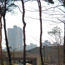 광교푸른숲도서관 이미지