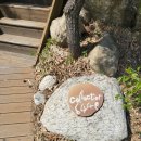 6449 | 8명의 지인들과 토요일 양양 컬렉터 6449에서 즐거운 시간!