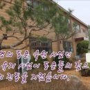 흥도초교 이미지
