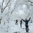 설국의 팔공산 둘러보기 이미지