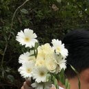 새경산꽃직판장 이미지