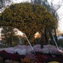 서동공원 향토음식특화거리 이미지