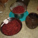 공치는날 이미지