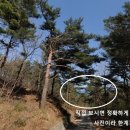 해안선공인중개사사무소 이미지