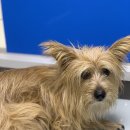 포일동물병원 이미지