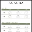 다정동도서관 | 세종시 다정동 요가 「아난다 요가」 이용 후기