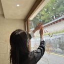 화신빌딩 | 웨딩링 투어 끝 가성비 가심비의 종로 웨딩밴드 공방301 돌담 계약 후기 및 할인 공유