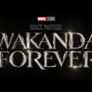 Black Panther Wakanda Forever 이미지