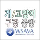 PJ GLOBAL | 고양이 강아지(개) 구강 종양. WSAVA 치과 가이드라인