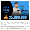 양웹 난리난 유튜버 미스터비스트 짭징어게임 폭로.jpg 이미지