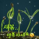 황금장여관 이미지