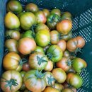 성한농장 이미지