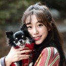 스타펫 이미지