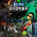 빛의예술 유리공예(주말) | 안산 대부도 여행 코스 유리섬박물관 입장료 기념품 할인 맛집 체험 후기