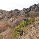 제375차(2025.11.22.) 전남 담양 병풍산 이미지