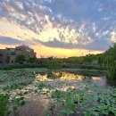 도도리저수지 이미지