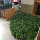 태왕 목욕탕 이미지