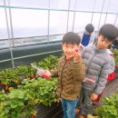 한양대(체육관) 이미지