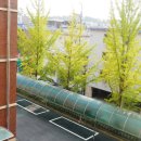 [행복한학교]명상과 힐링 이미지