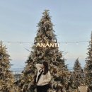 수산항요트하우스 화장실 | 부산여행 2박 3일 아난티 5성급 호텔 후기와 다이아몬드베이 요트투어 기록