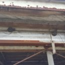 매산농장 이미지