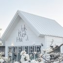 죽백화 이미지