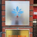 파란나무 이미지
