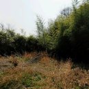 무성공인중개사사무소 이미지