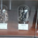 어진한의원 이미지