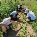 [대학알리] 마을 속의 마을, 대안 공동체(2024.5.13) 이미지