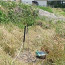 남서대로 이미지