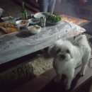 우진황토펜션 이미지