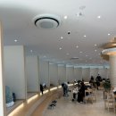 화진해수욕장 바다시청 화장실 | [포항 송라면 ; 화진해수욕장 신상 초대형카페 시원한 오션뷰 아우로라 주말 방문 후기]