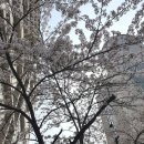 소화성가정 | 25년 4월 기록 ②