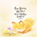 설레