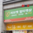 코리아애견샵 동행미디어 시대