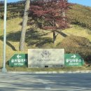 대영 | 횡성 알프스대영 가성비 야간 라운딩 후기