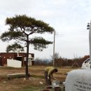 자연보호헌장비 이미지