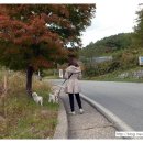 청학동서당청소년수련원 이미지