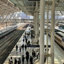 고려산천 | 서울 동대구 KTX, KTX 산천 특실 비교 후기 - 좌석, 콘센트, 옷걸이, 쿠키 물 제공 정보